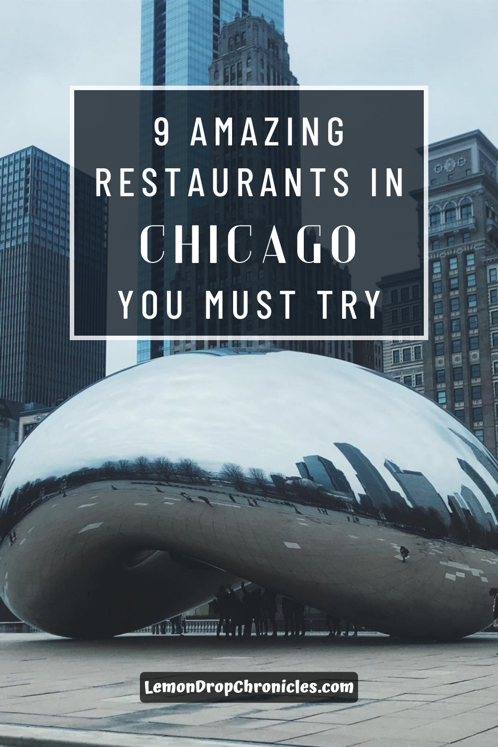 9 Amazing Restaurants In Chicago You Must Try - The Lemon Drop Chronicles